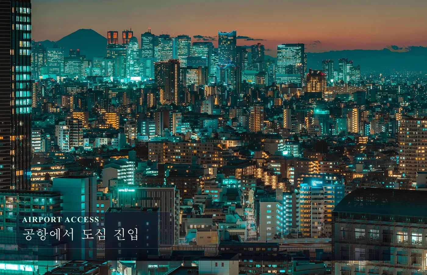 도쿄 스카이라인 야경